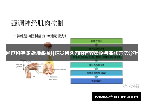 通过科学体能训练提升球员持久力的有效策略与实践方法分析