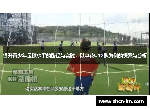 提升青少年足球水平的路径与实践：以申花U12队为例的探索与分析