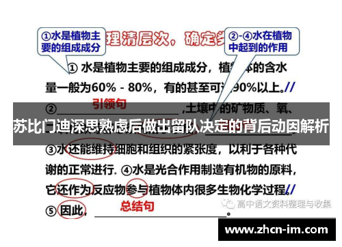 苏比门迪深思熟虑后做出留队决定的背后动因解析