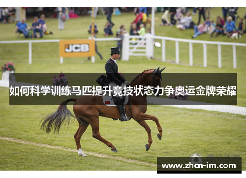 如何科学训练马匹提升竞技状态力争奥运金牌荣耀
