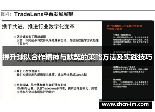 提升球队合作精神与默契的策略方法及实践技巧