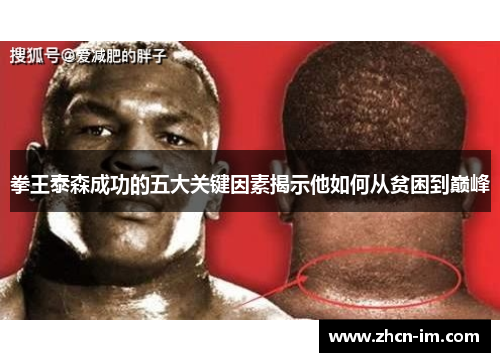 拳王泰森成功的五大关键因素揭示他如何从贫困到巅峰